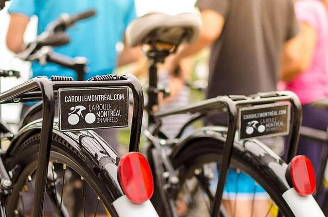 Full Day Family Bike Rental - Practical details that affect the day
