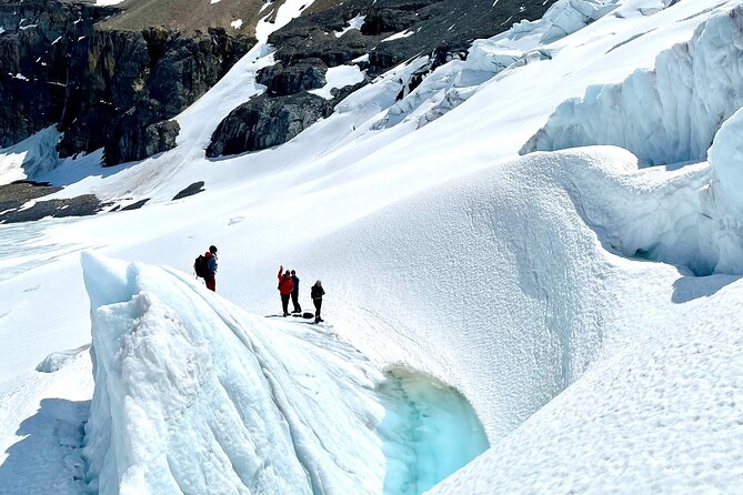 Full Day Guided Glacier Hike on The Athabasca with IceWalks - Is $154.23 a good value?