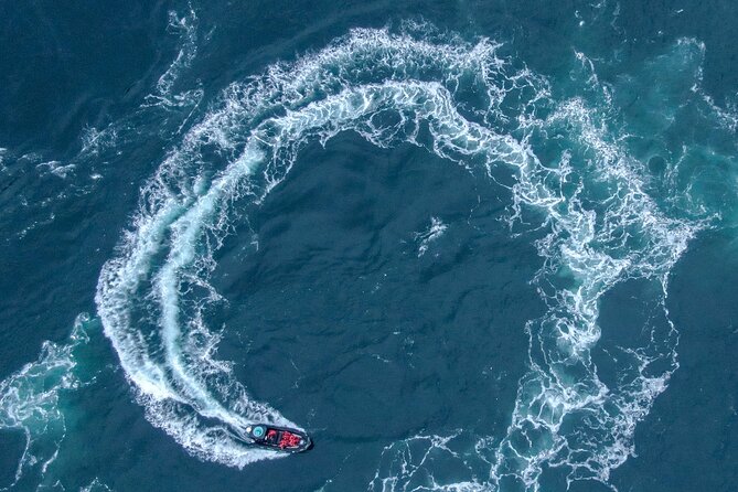 Full Day Whale Watching Campbell River - What the boat ride feels like