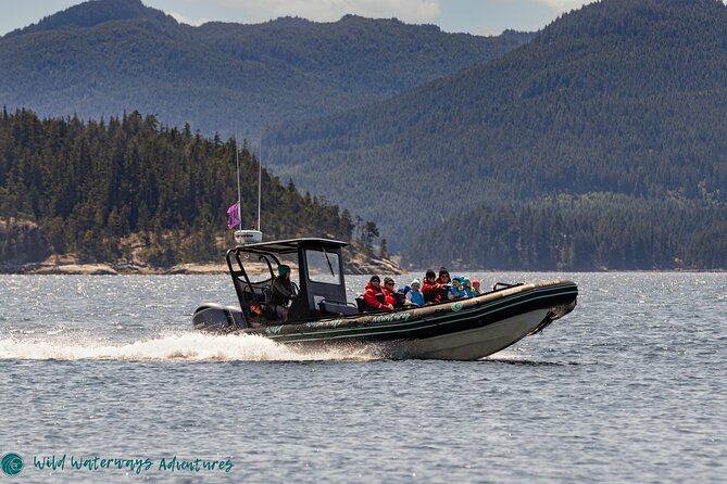 Full Day Whale Watching Campbell River - Leaving Quathiaski Cove at 9:00 a.m.
