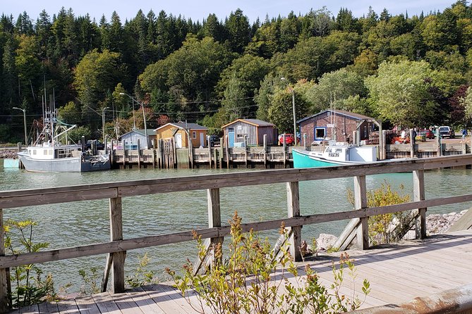 Fundy Coast to Fundy Shore Tour - Saint John City Market and the final hour