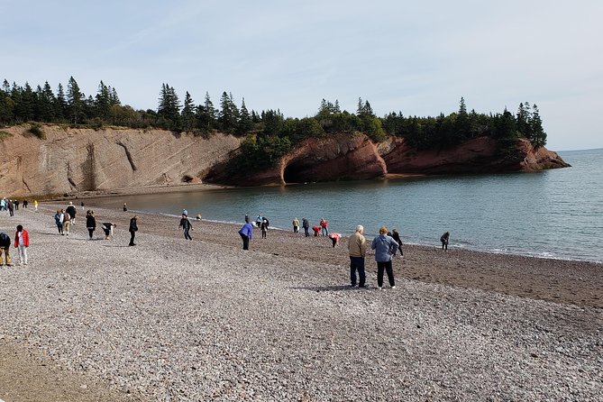 Fundy Coast to Fundy Shore Tour - Cruise timing and meeting-point advice