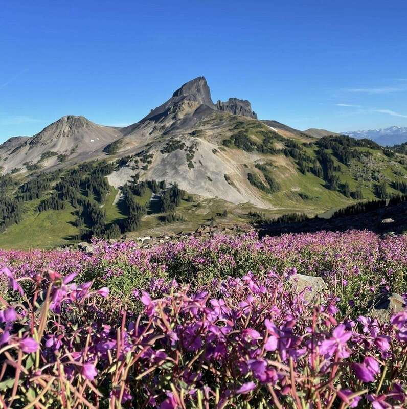 Garibaldi Park/ Panorama Ridge/ Hiking Day Trip - Adding Whistler after the hike
