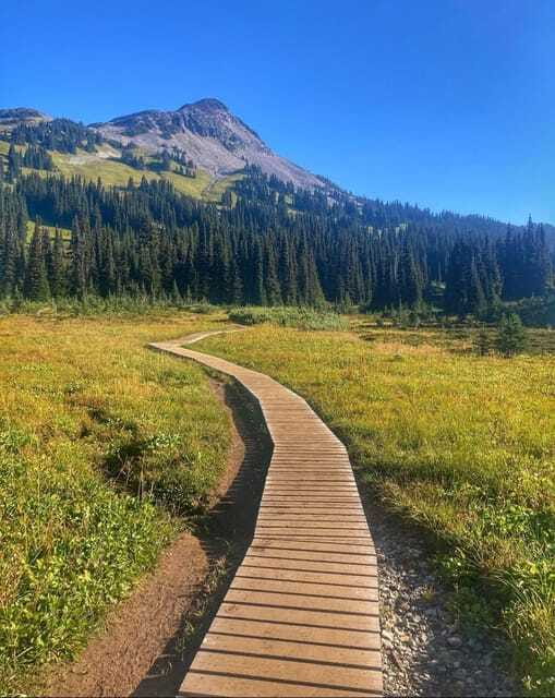Garibaldi Park/ Panorama Ridge/ Hiking Day Trip - What the $475 price buys you
