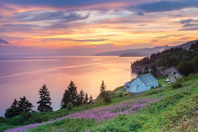 Gaspe 3–DAY Trip - Day 2: Forillon’s coast, forests, and cliffs