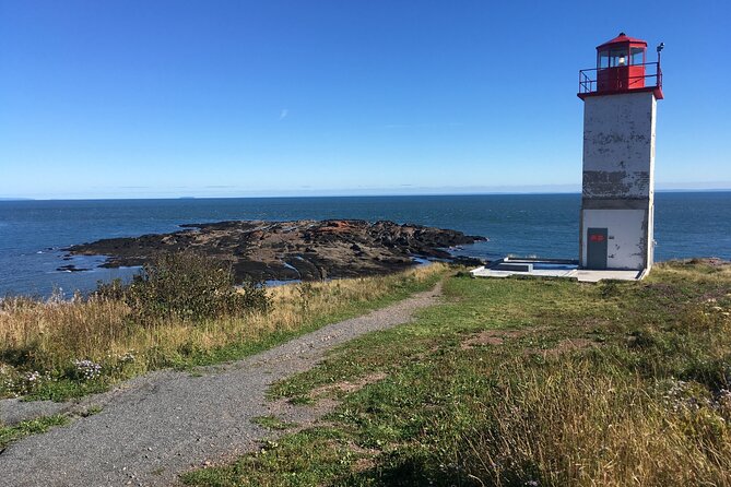 Go Fundy Tours - Why the double visit to Reversing Rapids matters