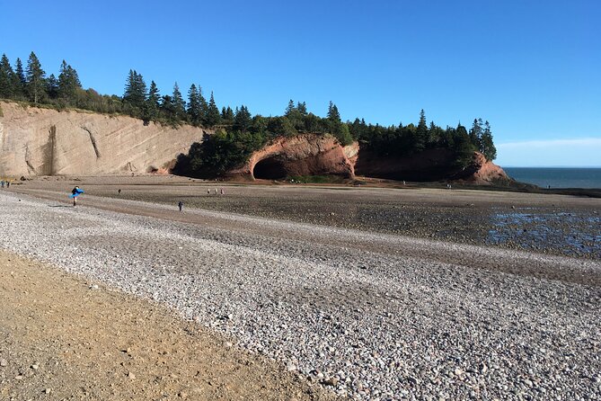Go Fundy Tours - Short hikes, scenic drives, and different walking abilities