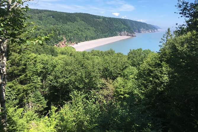 Go Fundy Tours - Snacks are thoughtful, but bring your own lunch plan