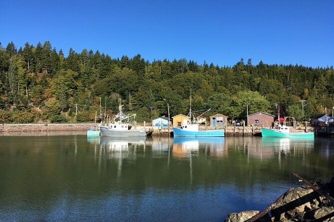 Go Fundy Tours - Is $195 a fair price?