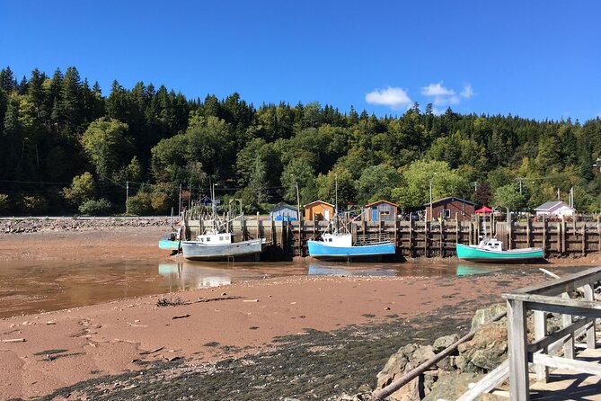 Go Fundy Tours - St. Martins Sea Caves bring the Bay of Fundy close
