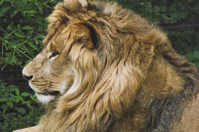 Granby Zoo 1 Day - Booking and cancellation details