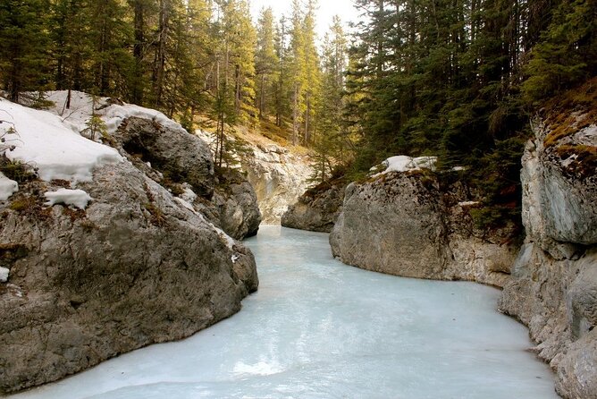 Grassi Lake and Grotto Canyon Hiking Calgary/Canmore/Banff - Who should book this tour