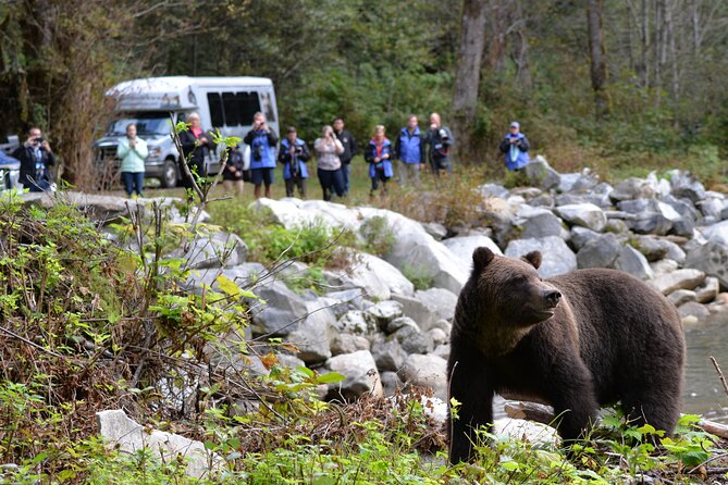 Great Bears of Bute: Grizzly Bear Viewing & Indigenous Cultural Tour - From Campbell River to the Salish Sea