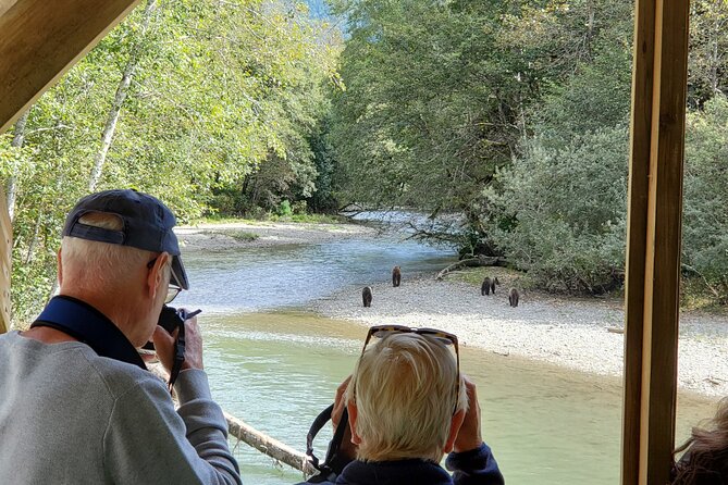 Great Bears of Bute: Grizzly Bear Viewing & Indigenous Cultural Tour - Reaching Orford Bay and Homalco territory
