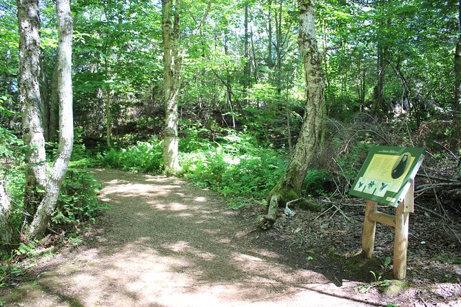 Green Gables House & Our Island Experience - What the $89.39 price includes
