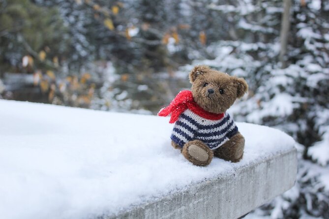 Grotto Canyon Majestic Ice Walk tour from Banff, Calgary, Canmore - Habib’s guiding adds personal value