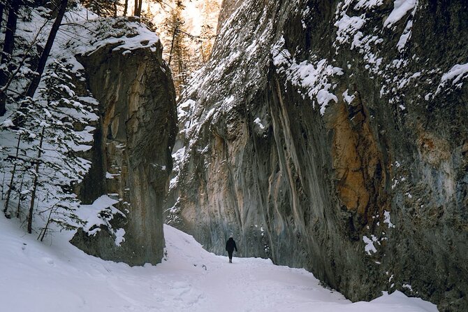 Grotto Canyon Majestic Ice Walk tour from Banff, Calgary, Canmore - The approach starts with an uphill test