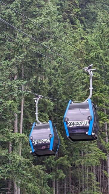 Grouse Mnt+StanleyPark+Hatchery+Cleveland Dam+LynnCanyonTOUR - Capilano River, Cleveland Dam, and Capilano Lake