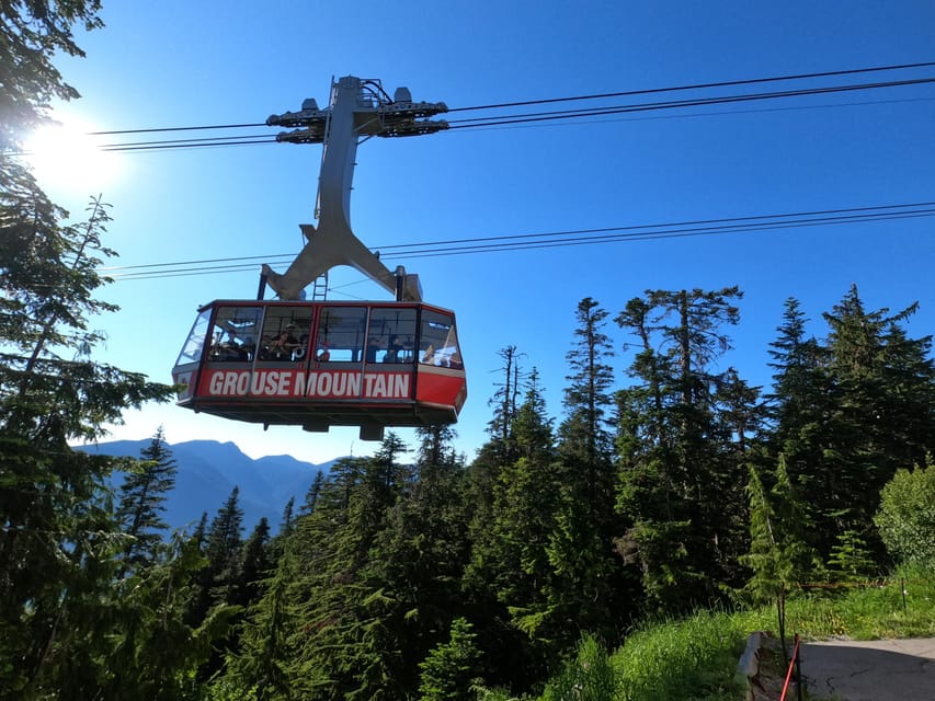 Grouse Mnt+StanleyPark+Hatchery+Cleveland Dam+LynnCanyonTOUR - Stanley Park to finish the day