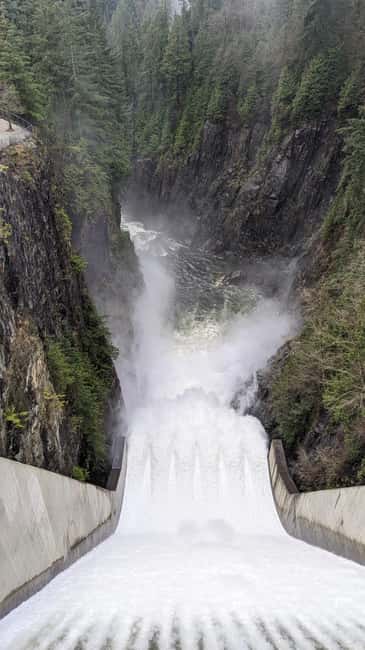 Grouse Mnt+StanleyPark+Hatchery+Cleveland Dam+LynnCanyonTOUR - What the small-group format changes