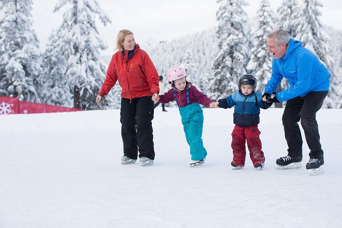 Grouse Mountain Admission Ticket - Summer at Grouse Mountain: bears, birds, and lumberjacks