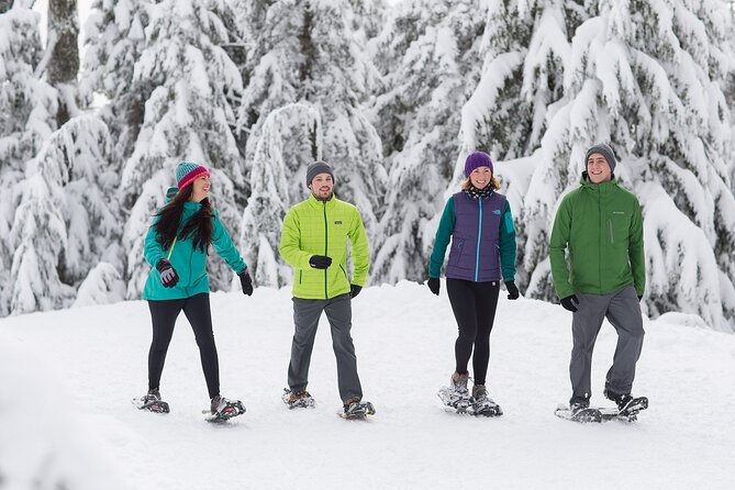 Grouse Mountain Admission Ticket - Winter brings snow instead of summer shows