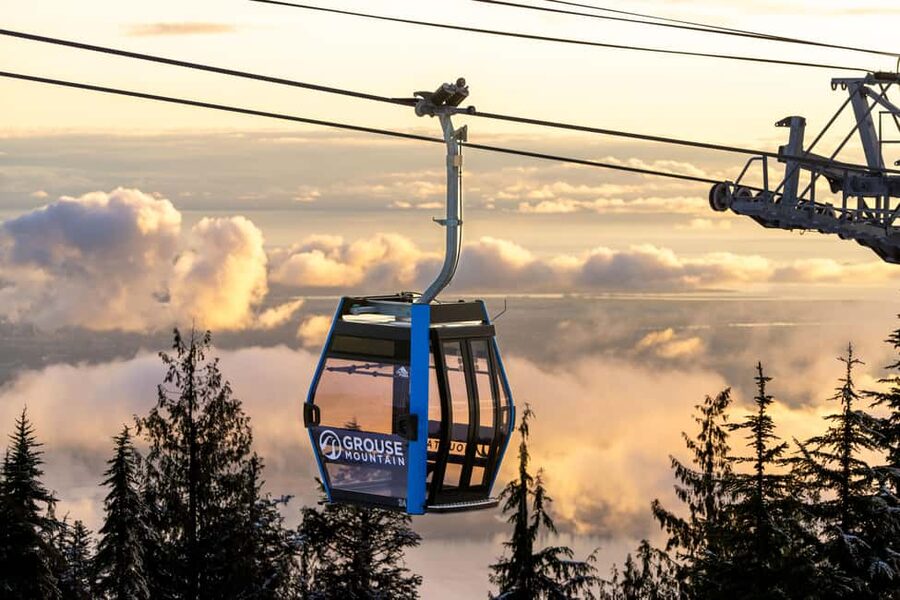 Grouse Mountain, Capilano Bridge & Fish Hatchery Tour - What this North Shore day actually delivers