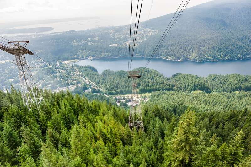Grouse Mountain, Capilano Bridge & Fish Hatchery Tour - Riding the gondola and meeting Grouse Mountain’s animals