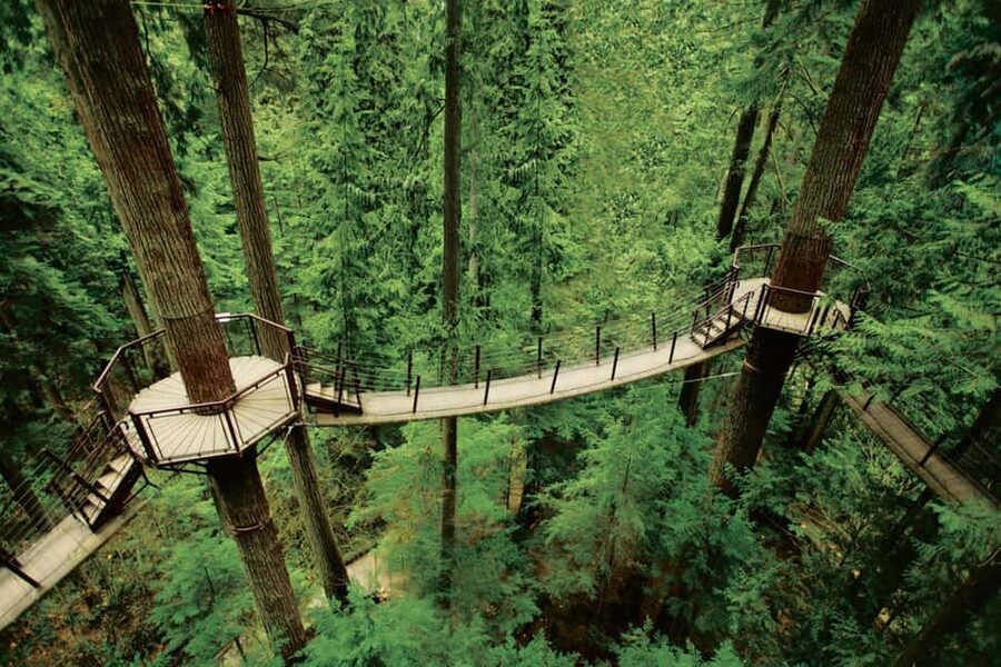Grouse Mountain, Capilano Bridge & Fish Hatchery Tour - A short lesson at Capilano River Hatchery