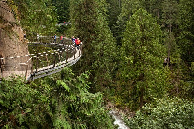 Grouse Mountain & Capilano Bridge Tour with Fish Hatchery - How the schedule feels in practice