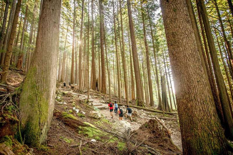 Grouse Mountain Skyride Admission Ticket - Is $64 good value?
