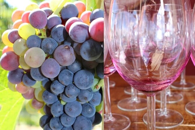 Guided Bike Tour on Historical Kettle Valley Railway at Myra Canyon & Wine Tour - Meadow Vista Honey Wines is the lunch pivot