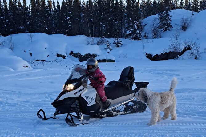 Guided Snowmobile Adventure - Starting with a careful lesson, not a cold rush