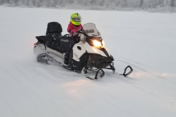 Guided Snowmobile Adventure - What the $120.16 price really covers