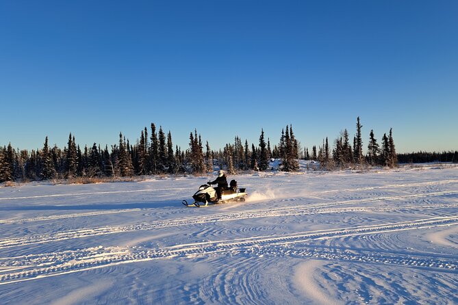Guided Snowmobile Adventure - Who will enjoy this ride most