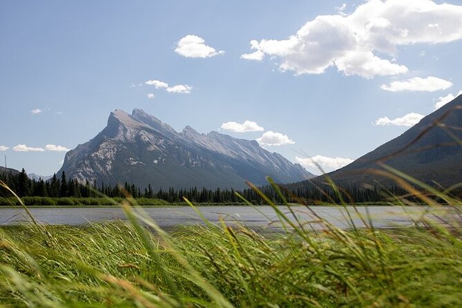 Guided Tour to Banff Highlights & Wildlife With Gondola Admission - The Hoodoos Trail is short but earns its place