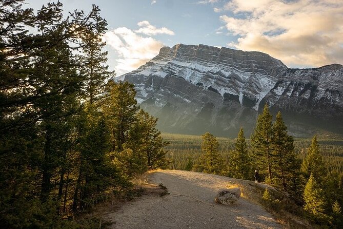 Guided Tour to Banff Highlights & Wildlife With Gondola Admission - The Banff Gondola is the grand finish