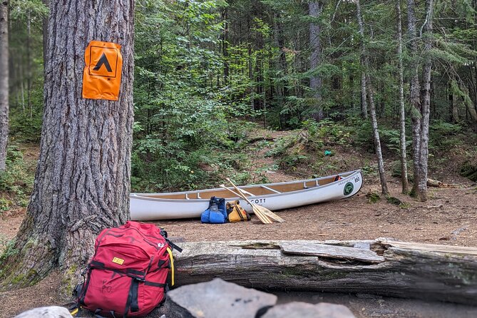 Guided Tours Algonquin Park - Why the small group matters
