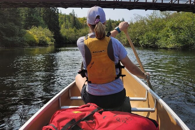 Guided Tours Algonquin Park - Guides who keep the day practical