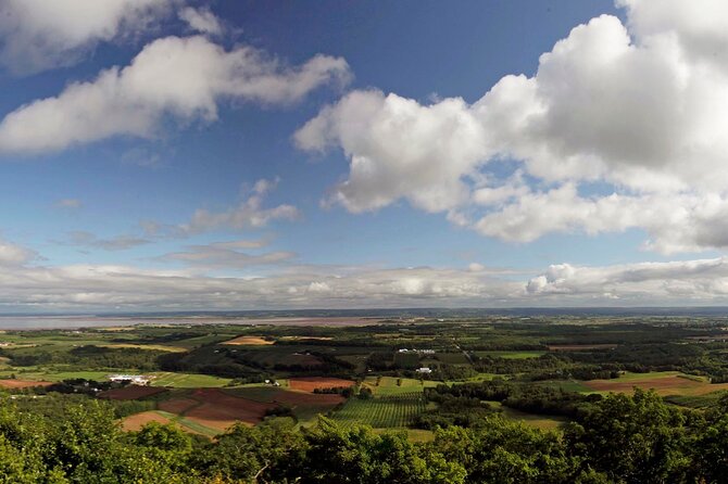 Half-Day Small-Group Tour of Annapolis Valley - Three different winery settings