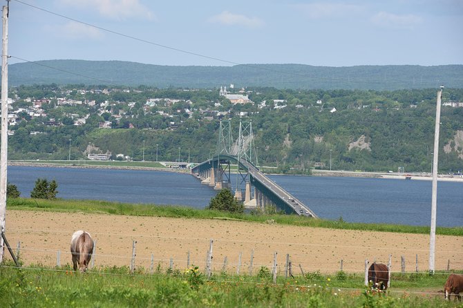 Half-Day Trip to Montmorency Falls and Ste-Anne-de-Beaupré from Quebec city - Winter, daylight, and bus comfort