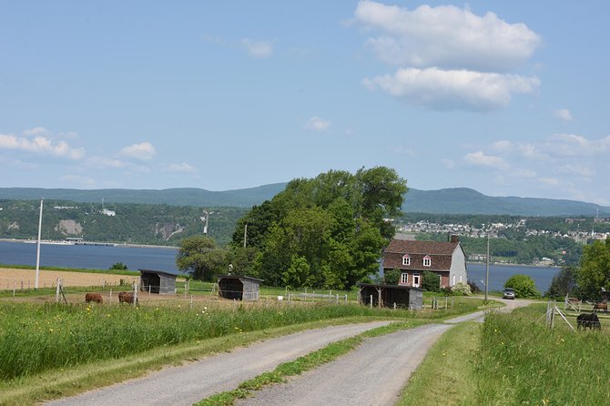 Half-Day Trip to Montmorency Falls and Ste-Anne-de-Beaupré from Quebec city - Who should book this half-day outing?