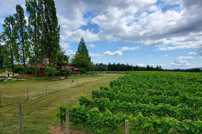 Half-Day Victoria to Cowichan Valley Wine Tour with Tastings - Who will enjoy this tour most