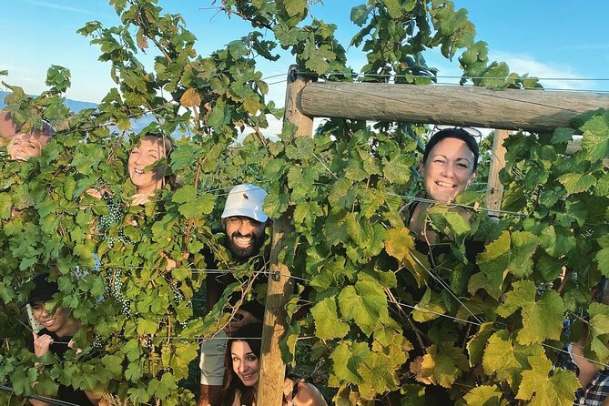 Half-Day West Kelowna Afternoon Wine tour - A comfortable ride from downtown Kelowna