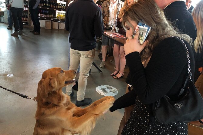 Half-Day West Kelowna Afternoon Wine tour - Cherry’s hosting style