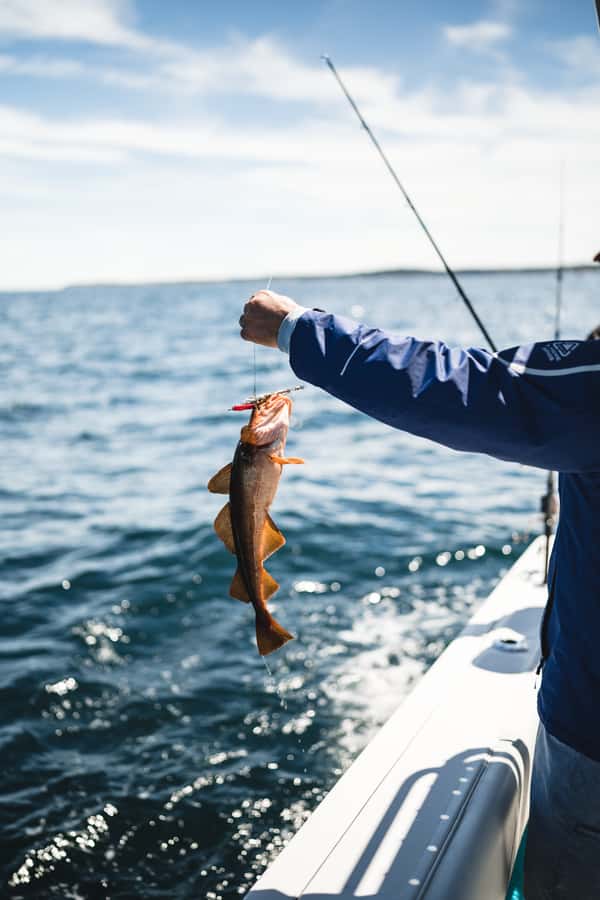 Halifax: 2-Hour Deep Sea Fishing Tour - What to Wear for a Coastal Boat Ride