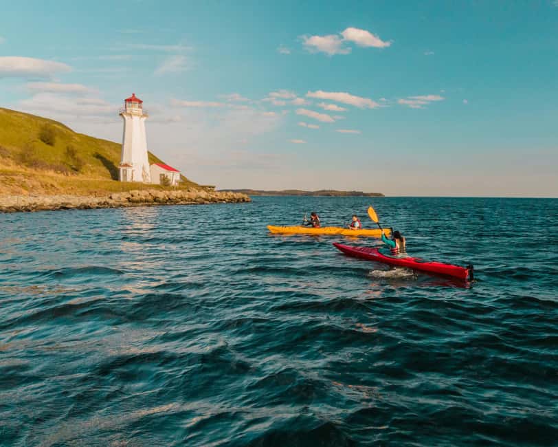 Halifax: Guided Kayak Tour with Multiple Options - Choosing the right Halifax kayak tour