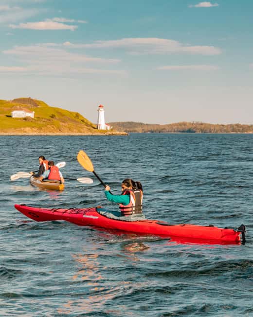 Halifax: Guided Kayak Tour with Multiple Options - What the $29 price really gets you