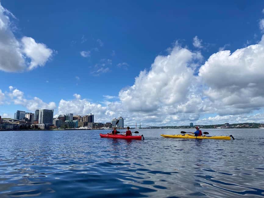Halifax: Guided Kayak Tour with Multiple Options - Starting on the calm waters of Halifax Harbour