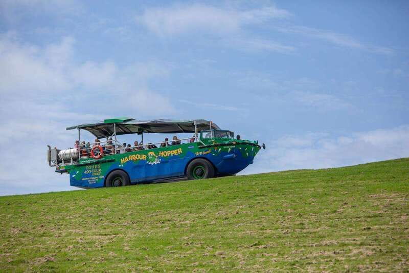 Halifax: Harbour Hopper City & Water Cruise in a Duck Boat - What $56 buys you
